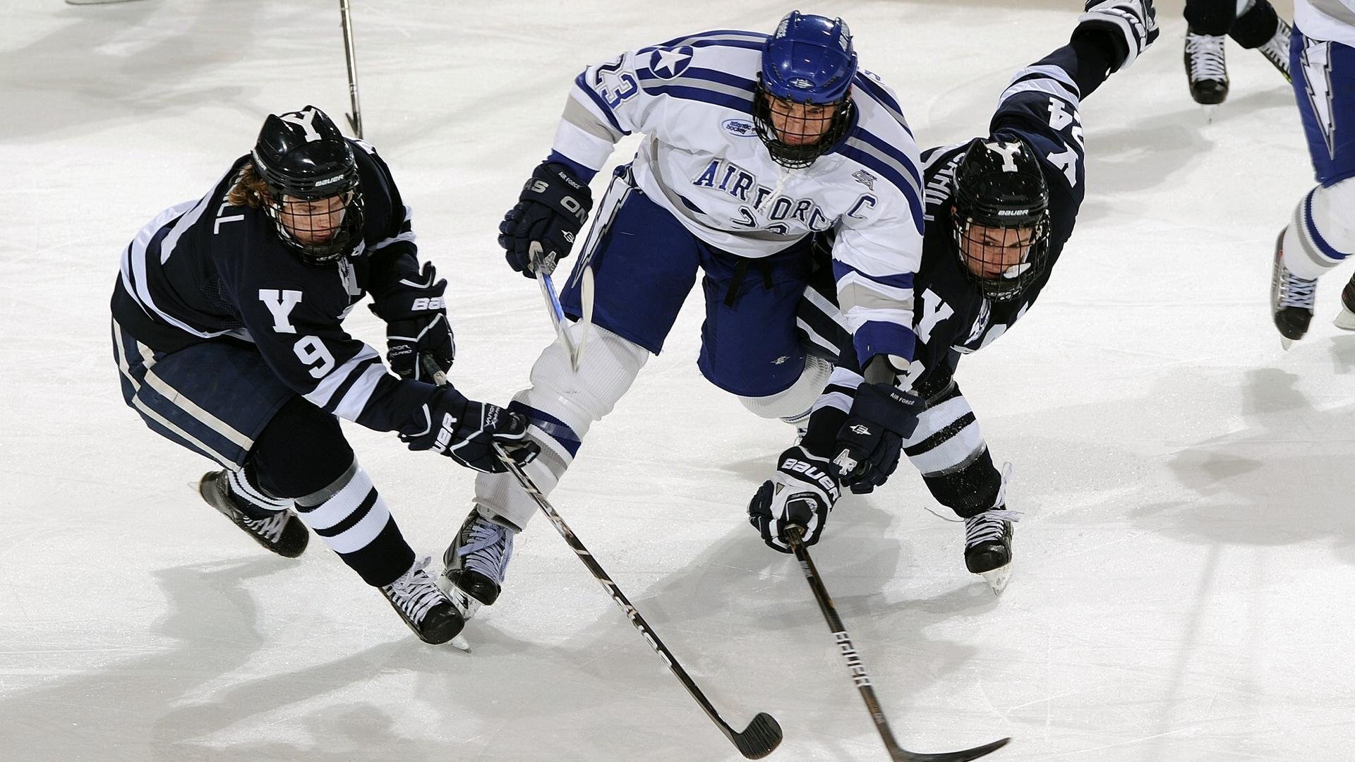 公牛队迎来历史性胜利，士气爆棚，公牛 队